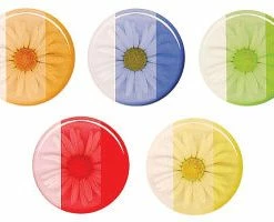 Cheap 🔔 Blick Art Castin'Craft Transparent Dyes ✔️ 8 Blick Art Castin'Craft Transparent Dyes