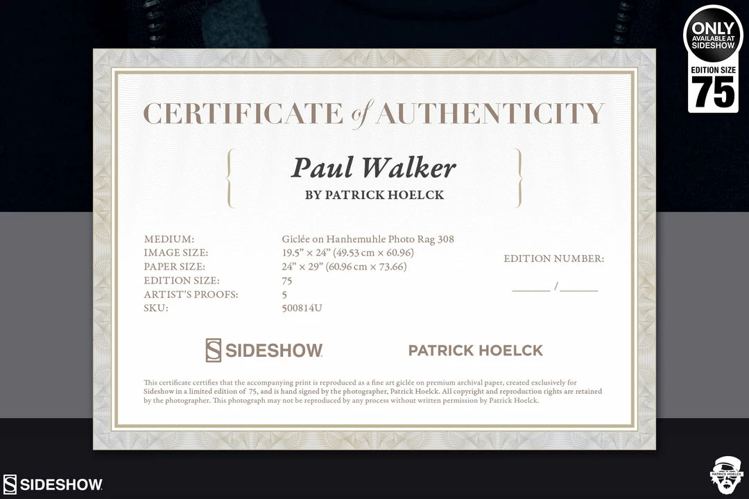 Deals โ Paul Walker Art Print By Sideshow Collectibles By Renowned Photographer Patrick Hoelck. ๐งจ 6 Paul Walker Art Print By Sideshow Collectibles By Renowned Photographer Patrick Hoelck.