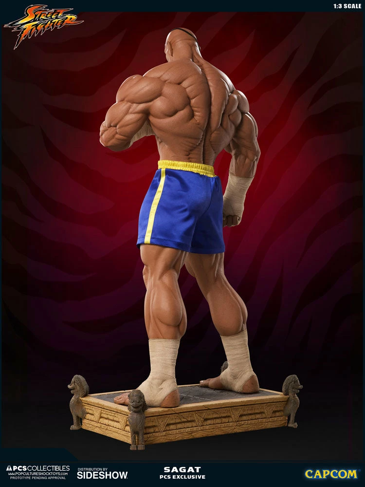 Outlet ✨ PCS Collectibles Sagat Statue By PCS 1:3 Scale - Street Fighter 👍 10 PCS Collectibles Sagat Statue By PCS 1:3 Scale - Street Fighter