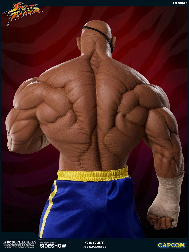 Outlet ✨ PCS Collectibles Sagat Statue By PCS 1:3 Scale - Street Fighter 👍 8 PCS Collectibles Sagat Statue By PCS 1:3 Scale - Street Fighter