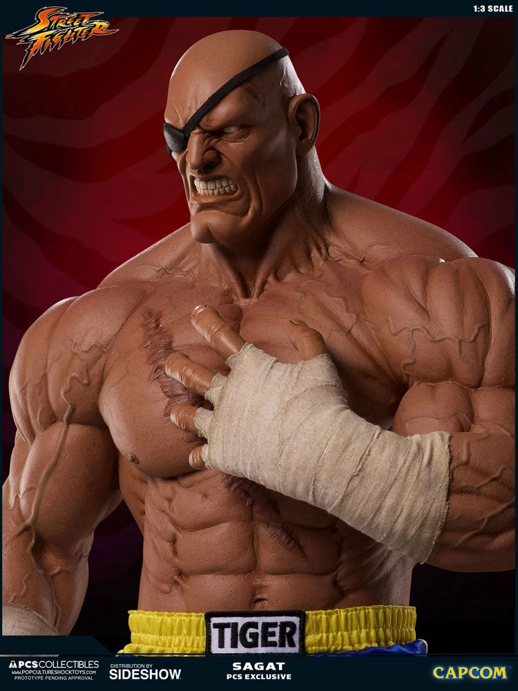 Outlet ✨ PCS Collectibles Sagat Statue By PCS 1:3 Scale - Street Fighter 👍 17 PCS Collectibles Sagat Statue By PCS 1:3 Scale - Street Fighter