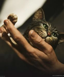 Hot Pop Stars And Celebrity's Vito Andolini Corleone (1972) Statue By Damtoys The Godfather