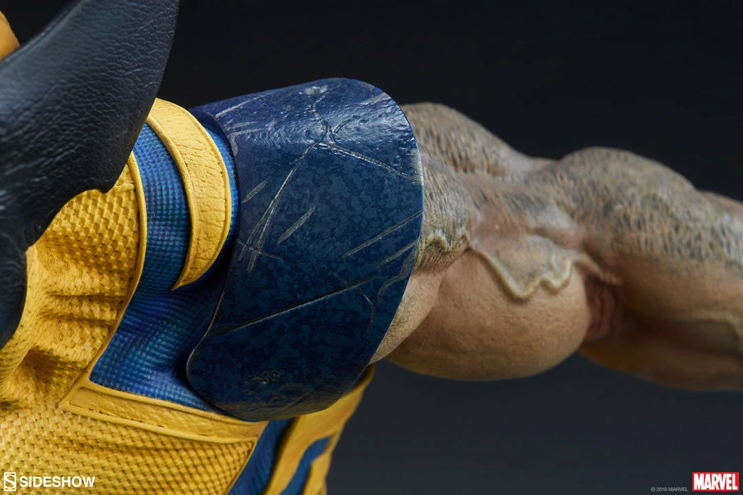 Coupon ✨ Wolverine Premium Format™ Figure By Sideshow Collectibles X-Men 🎁 17 Wolverine Premium Format™ Figure By Sideshow Collectibles X-Men